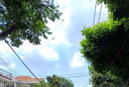 Ngộp Bank Bán Đất Full Thổ Cư Mặt Tiền 501m2_14/19x34m Gần Quốc Lộ 1K Linh Xuân Thủ Đức Chỉ 16,9 tỷ